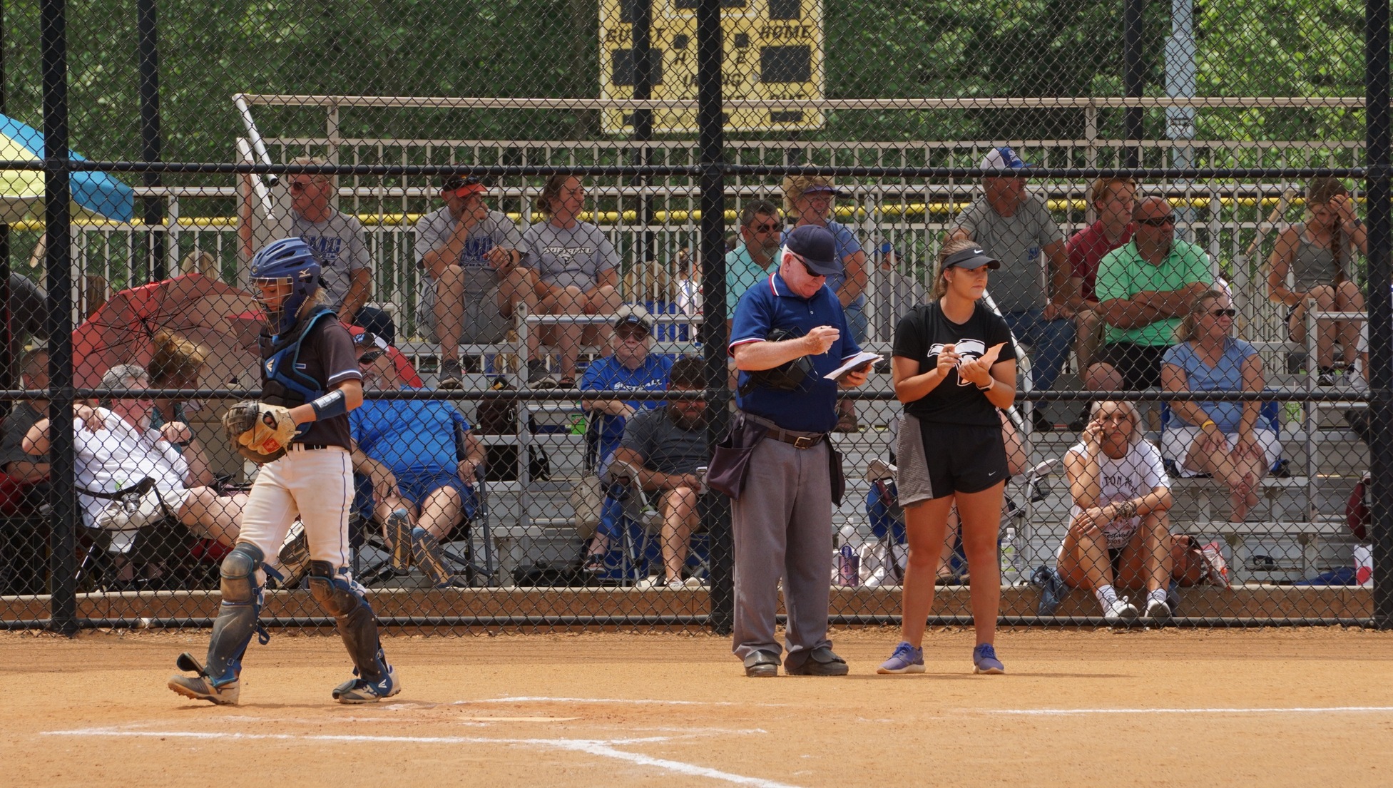 SMC Names Hill as Head Softball Coach