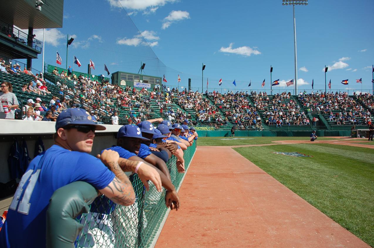 Pioneer baseball #1 in the nation